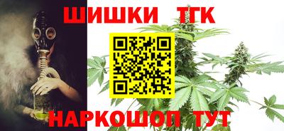 шишки Гусиноозёрск
