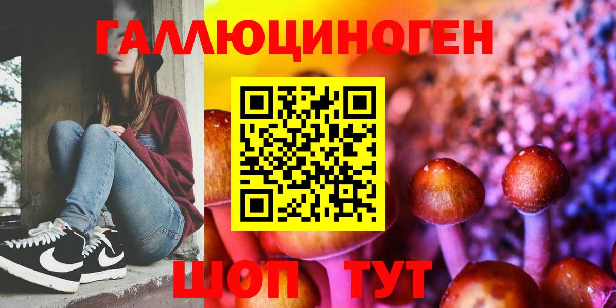 Галлюциногенные грибы GOLDEN TEACHER Нижнеудинск