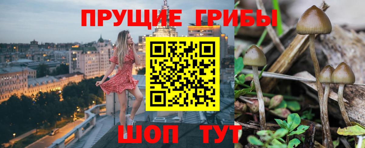 закладки  Вход с VPN  Нижнеудинск  Галлюциногенные грибы GOLDEN TEACHER 